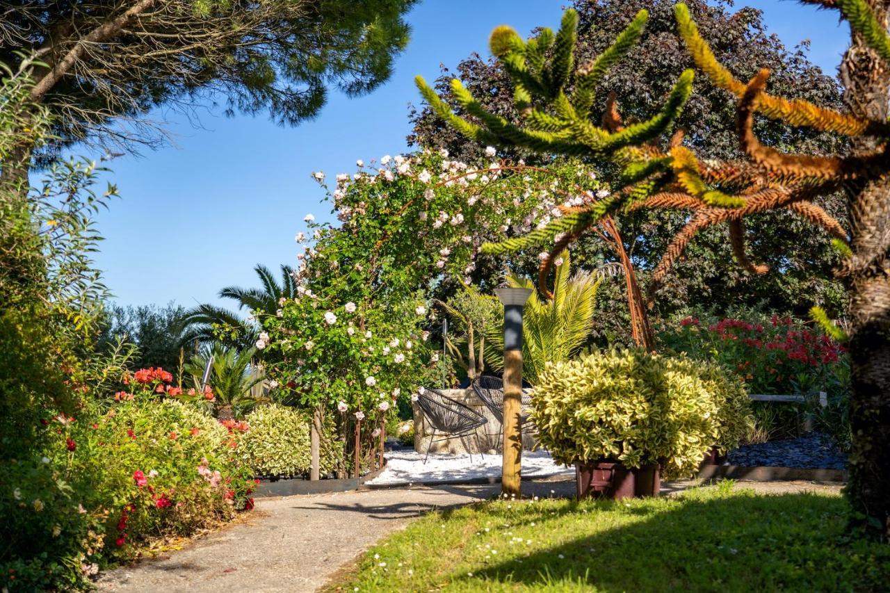 Fronsac  Le Bassin Du Tertre Bed & Breakfast エクステリア 写真