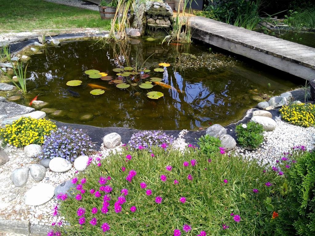 Fronsac  Le Bassin Du Tertre Bed & Breakfast エクステリア 写真