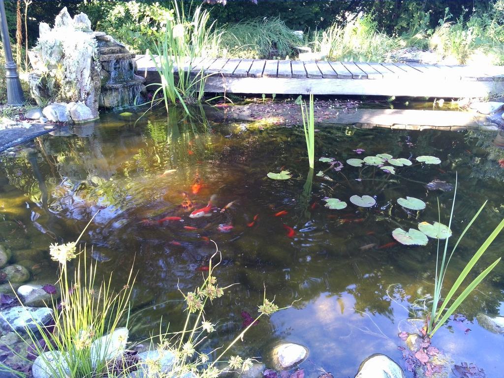 Fronsac  Le Bassin Du Tertre Bed & Breakfast エクステリア 写真